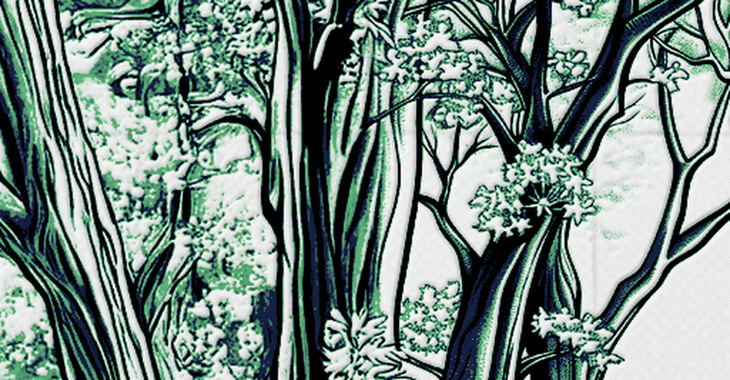 Fochlut — Extended Grove