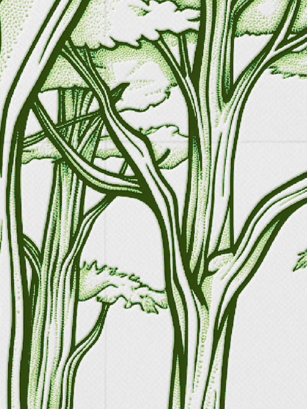 Path of the Sidhe