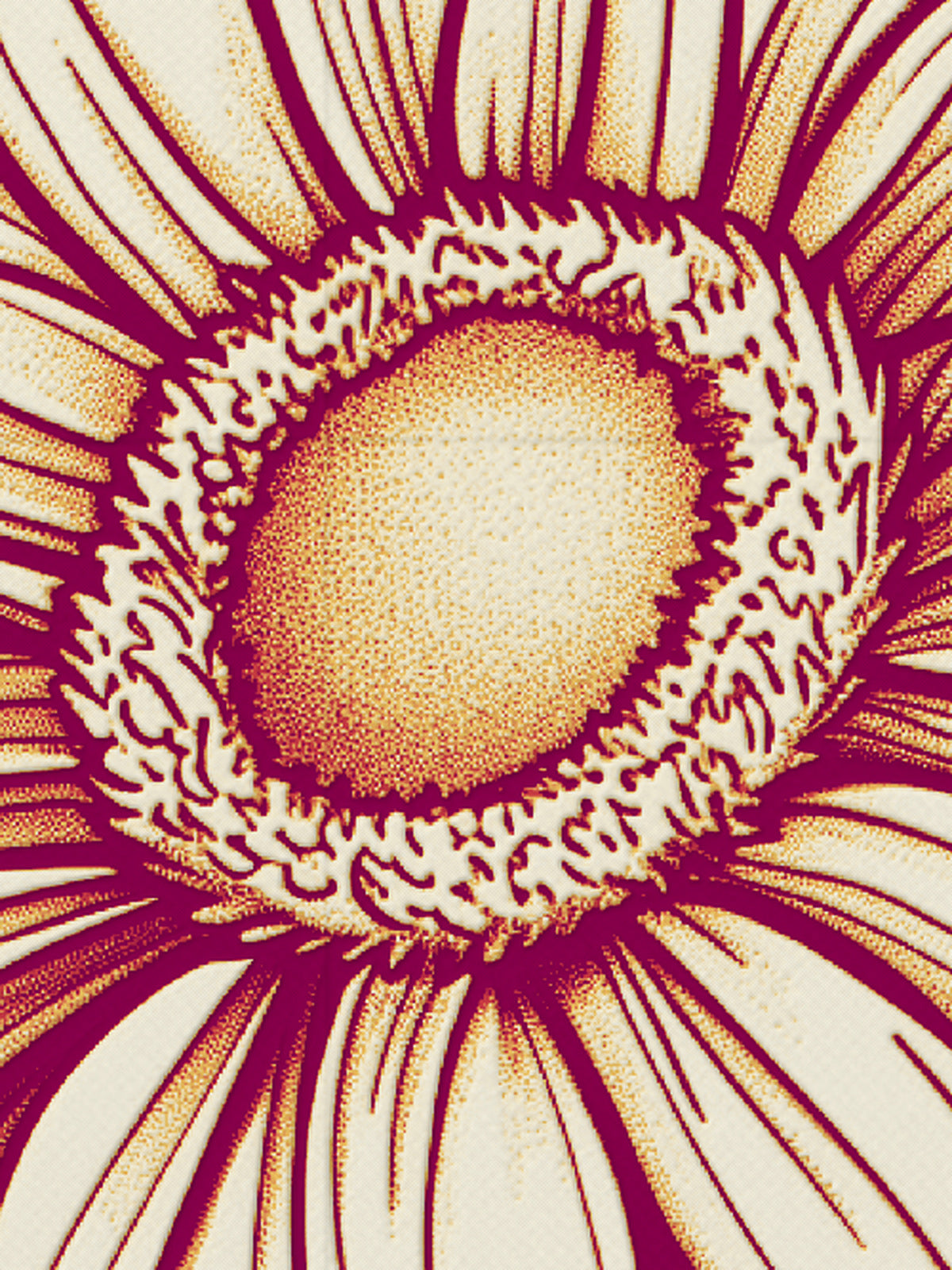 Grainne's Sun